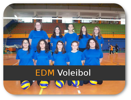 Voleibol